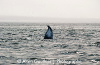 DSC_0090 (2)