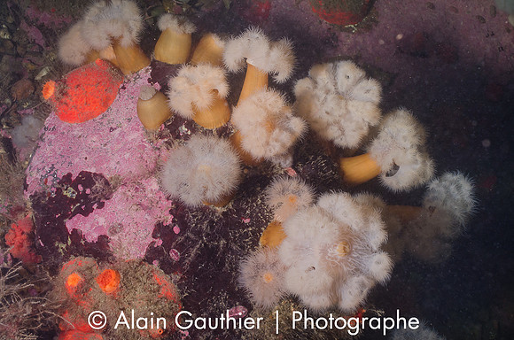 _DSC8894