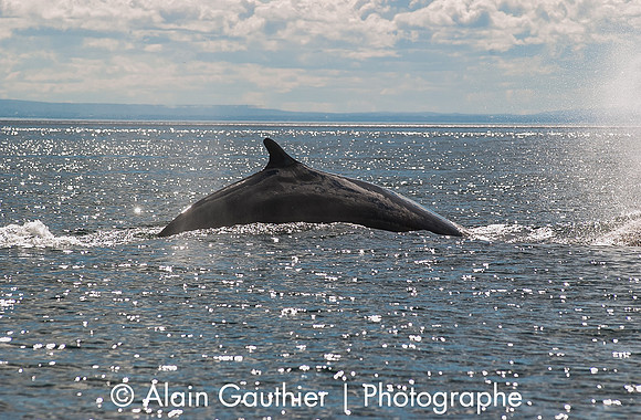 DSC_0091