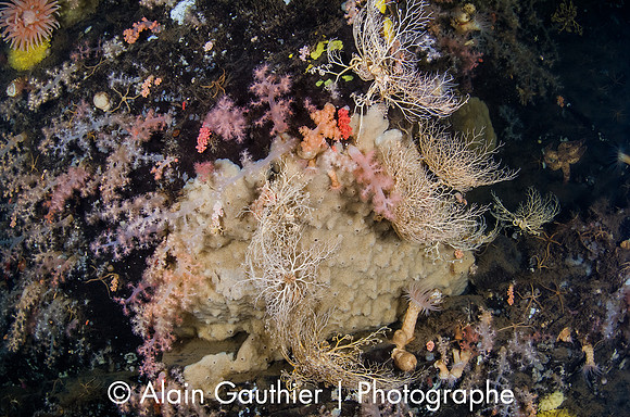 _DSC3640