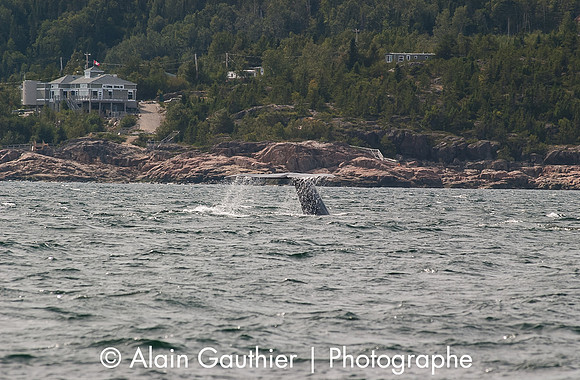 DSC_0082