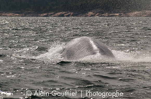 DSC_0063