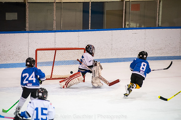 _DSC3184