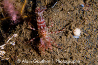 _DSC3576