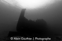 _DSC3124