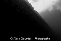 _DSC3131