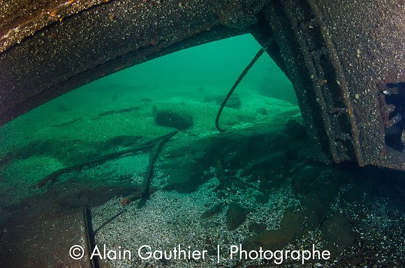 _DSC2394