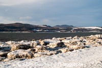 _DSC0012-2