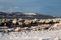 _DSC0016