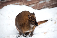 _DSC0056