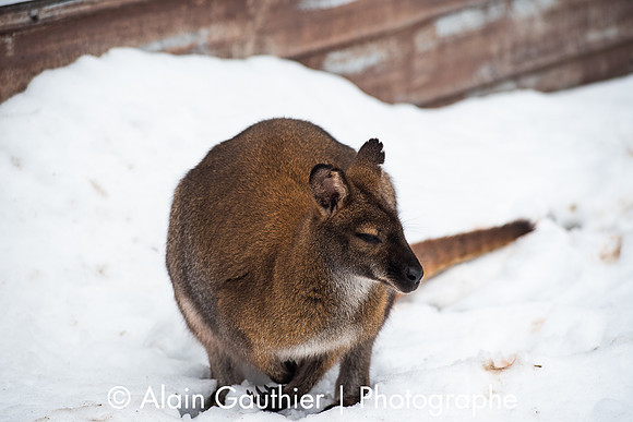 _DSC0056