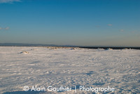 _DSC0031