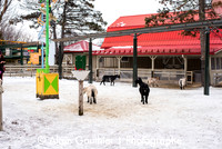 _DSC0023