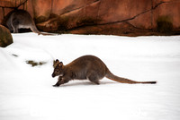 _DSC0045