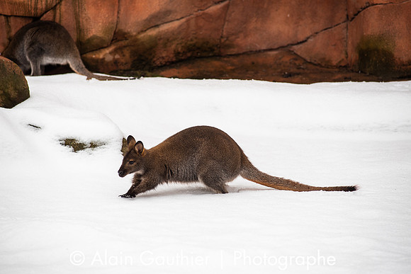 _DSC0045