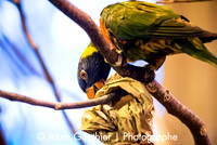 _DSC0075