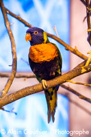 _DSC0080