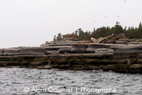 _DSC0003-3