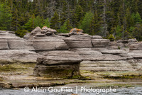 _DSC0004-3