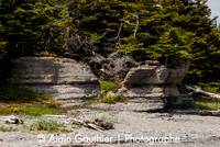 _DSC0007-3