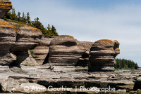 _DSC0001-3