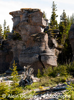 _DSC0003-2