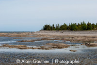 _DSC0004