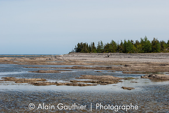 _DSC0004