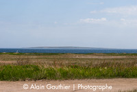 _DSC0001