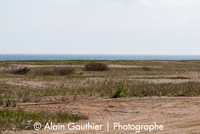 _DSC0003