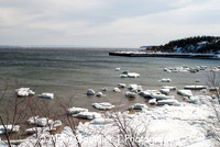 _DSC0004