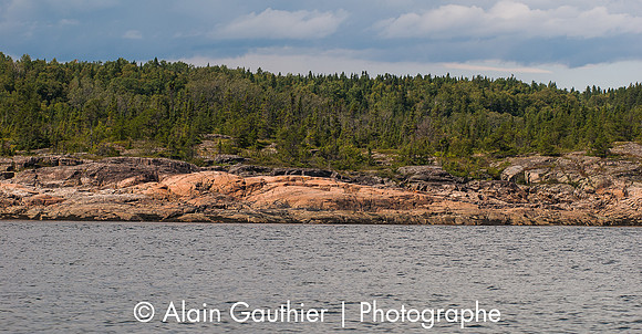_DSC3178