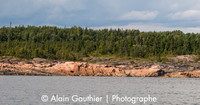 _DSC3176