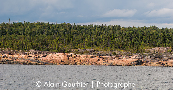 _DSC3176