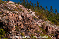 Tadoussac