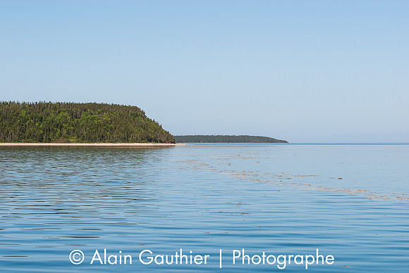 _DSC0001-2