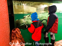 Zoo de Granby
