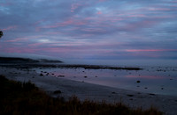 DSC_0001 (2)
